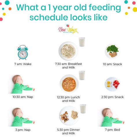 Baby Food Schedule, Healthy Food Chart, Baby Image, Baby Feeding Chart, Baby Routine, Mom Things, Baby Schedule, Baby First Foods, Baby Foods