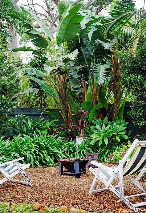 There's nothing better than gathering around a fire pit in the heart of winter with the friends and family, so here are 15 of our favourite ideas. Small Tropical Gardens, Balinese Decor, Rainforest Plants, Tropical Garden Design, Tropical Backyard, Australian Garden, Landscape Design Plans, Low Maintenance Garden, Tropical Landscaping