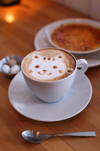 Coffee Latte Art, Coffee Cup Art, Coffee Cat, Fruit Carving, Food Garnishes, Cute Desserts, Coffee Latte, Cat Coffee, Coffee And Books