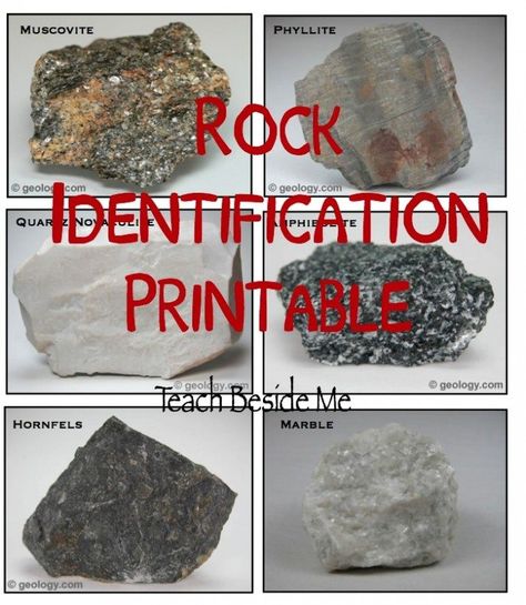 Rock-Identification-Printable-from-Teach-Beside-Me Identifying Rocks, Rock Science, Mineral Identification, Rock Identification, Rock Collecting, Rock Tumbling, Rock Cycle, Rocks And Fossils, Rock Hunting