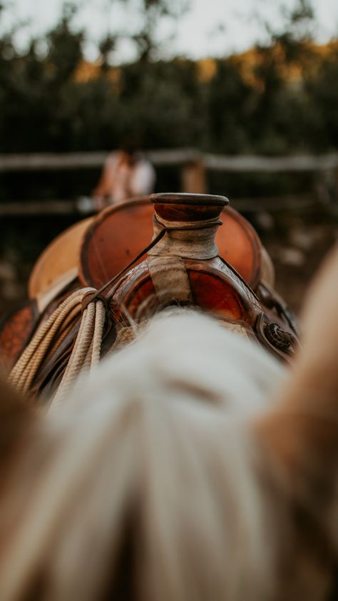 Western Saddle Aesthetic, Roping Photography, Saddle Western, Western Photography Aesthetic, Western Lifestyle Aesthetic, Rancho Life, Saddle Aesthetic, Ranch Saddle, Western Aesthetic Pictures