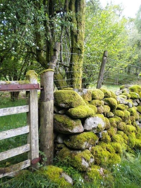 Garden Landscaping Design Ideas, Gravel Landscaping, Stone Fence, Rustic Fence, Rock Garden Design, Moss Garden, Dry Stone, Modern Fence, Backyard Fences