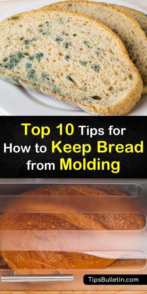 Find out the best ways to store bread to prevent it from developing mold, whether it's a whole loaf or sliced bread. At room temperature, try using a bread box or a sealed paper bag, or place your loaf of bread in the fridge or freezer. #bread #storage #mold #prevent Freezer Bread, Artesian Bread, Bread Dipping, Bread Holder, Bread Container, Bread Slicer, Vegetable Benefits, How To Store Bread, Bread Mold