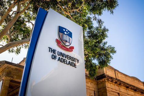 French industrial giants target Adelaide Uni for marine industries digital transformation University Of Adelaide, 3d Design Software, Service Desk, French Industrial, Soft Skills, Dream Board, Digital Transformation, Meeting New People, Life Cycles