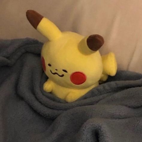 Meet your Posher, Jae Pokemon Plush, Vacation Vibes, Kawaii Plushies, Cute Stuffed Animals, Cute Plush, Cute Pokemon, 귀여운 동물, On Vacation, Reaction Pictures