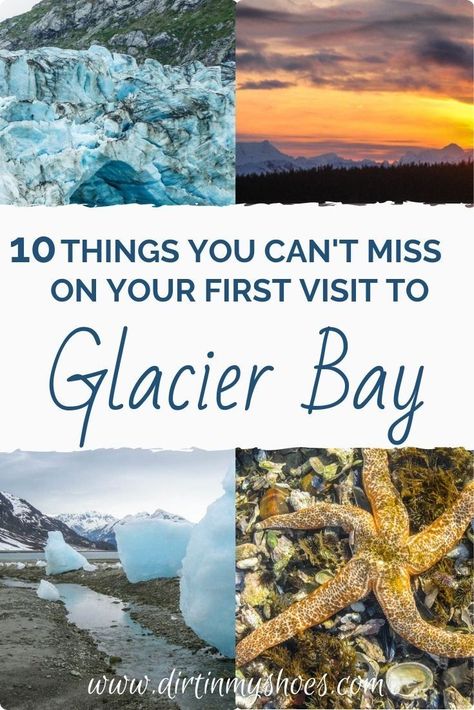 Glacier Bay National Park is one of the most beautiful places in Alaska, and should be on everybody's bucket lists! Planning an itinerary for your family vacation can be a challenge though, that is why I'm sharing this list of 10 things to do in Glacier Bay. Whether you enjoy hiking with kids, fishing trips, camping, or kayaking, this travel guide will help you explore the park off the cruise ship and see this destination up close! Glacier Bay National Park Alaska, Glacier Bay Alaska, Vacation Board, Kluane National Park, Alaska National Parks, Travel Alaska, National Park Map, Glacier Bay National Park, Travel Cruise