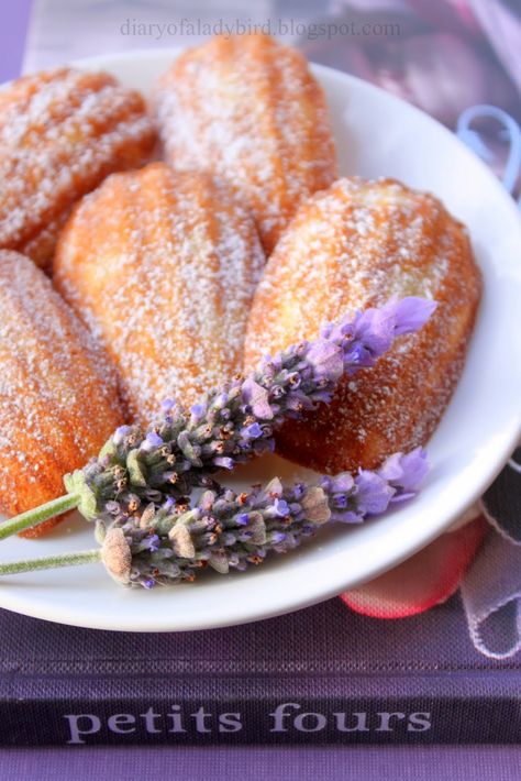 Lavender Dessert, Madeline Cookies, Madeleine Recipe, Almond Muffins, Lavender Recipes, Culinary Lavender, French Pastries, Just Desserts, Macarons