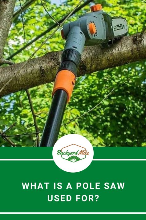 Looking to know what is a pole saw used for? Read about its common uses and implement it to your trees. ----- #polesaw #arborist #treetrimming #treecutting Harmful Insects, Dry Branch, Pole Saw, Tree Pruning, End Of Winter, Tree Trimming, Growing Tree, Saws, Small Trees