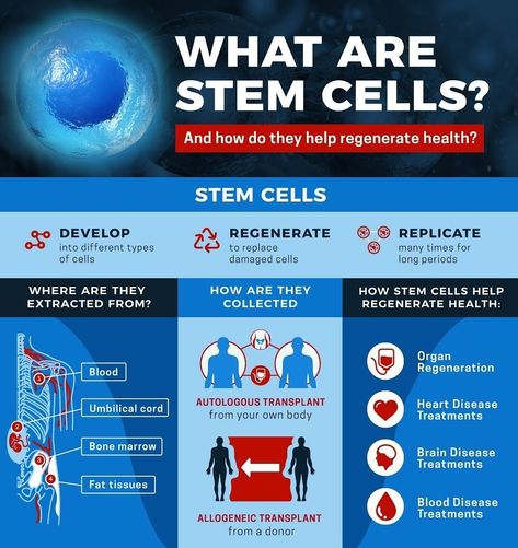 Cell Definition, What Is Stem, Cord Blood Banking, Stem Cell Research, Medical Student Study, Medical Laboratory Science, Stem Cell Therapy, Cell Therapy, Biology Notes