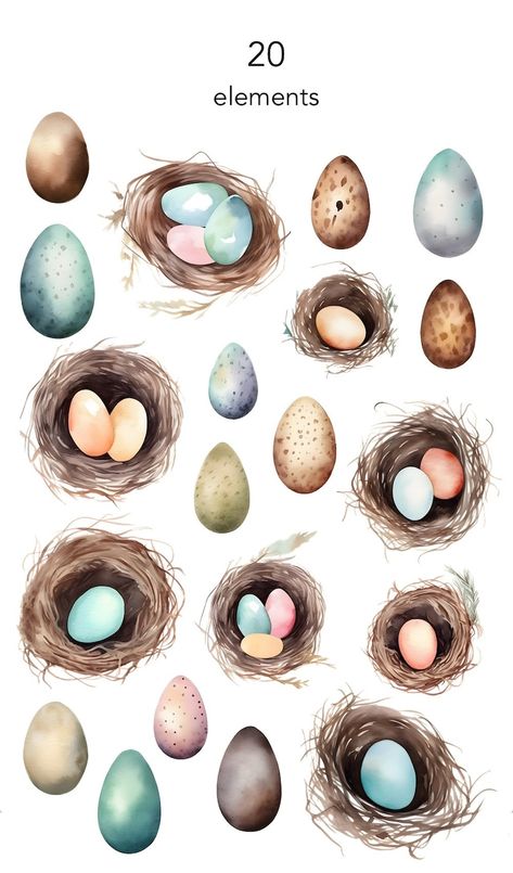 Bird nest clipart, easter eggs clip art set, spring nature, coloured eggs, egg illustrations, watercolor bird nests Watercolor Easter Eggs, Watercolour Bird, Bird Nests, Spring Projects, Scrapbooking Stickers, Watercolor Ideas, Spring Nature, Watercolor Illustrations, Robins Egg Blue