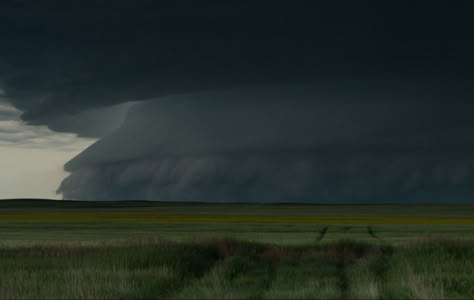 Dark Naturalism, Midwest Emo, Looking For Alaska, Summer Storm, Misty Forest, Moon Photography, Perfect Weather, A Storm, Environmental Art