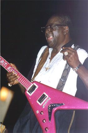 Albert King Blues Legend Albert King Blues, I Am Jazz, Guitar Legends, Thomas Pynchon, Albert King, True Roots, Blues Musicians, Black Knowledge, Guitar Players