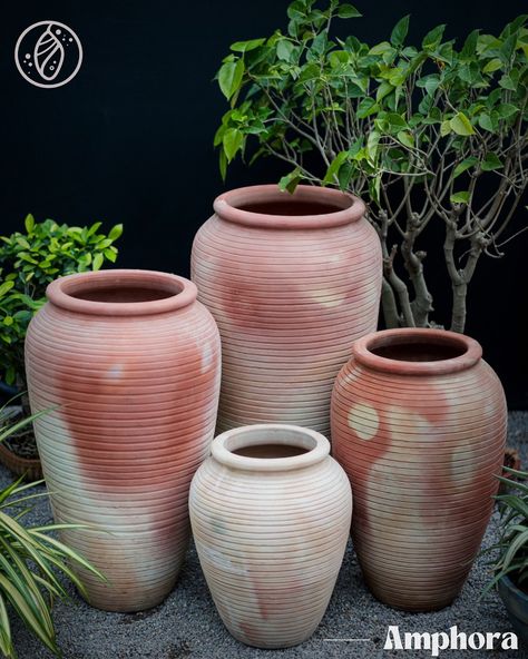 Timeless beauty meets modern craftsmanship ✨ These amphoras add a rustic charm to any space, blending nature and art in perfect harmony. #AmphoraArt #GardenVibes #RusticElegance #TimelessCrafts #TerraGarden #EarthenPots #GardenInspiration #Ambiance Elevation #TransformationCelebration #VarietyInDesign #ElegantSpaces #SustainabilityMatters #GreenLiving #GardenInspiration #AncientPotSeries #trendingreels #reelitfeelit #trending #viral #follow #followers #followme Rattan Pots & Planters, Green Living, Rustic Elegance, Rustic Charm, Timeless Beauty, Garden Inspiration, Beauty