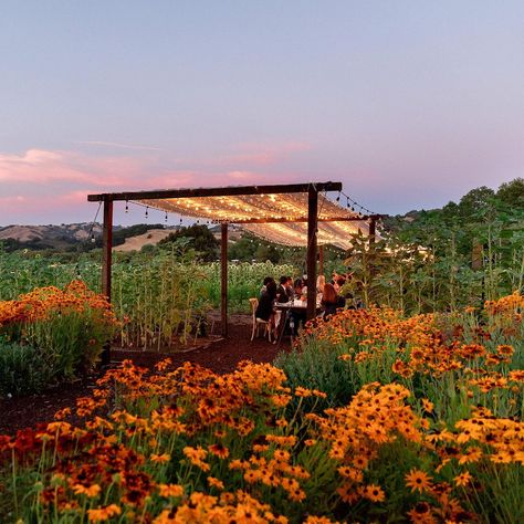 Unforgettable Weddings at The Preserve | Santa Lucia Preserve Santa Lucia Preserve, Folk Wedding, Enchanted Woodland, Sea Wedding, Jose Villa, Redwood Tree, Dream Wedding Venues, Popular Instagram, Authentic Wedding