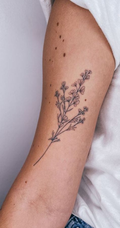 << Check out more Larkspur Tattoos, Ideas and Meanings #tattoomenow #tattooideas #tattoodesigns #tattoos #larkspur #flower #floral #birthflower Fine Line Lupine Tattoo, Larks Pur Flower Tattoo, Larkspur And Water Lily Flower Tattoo, Larkspur And Daffodil Tattoo, Larkspur Fine Line Tattoo, Fine Line Larkspur Tattoo, Larkspur Flower Tattoo Black And White, Larkspur And Rose Tattoo, Larkspur Tattoo Simple