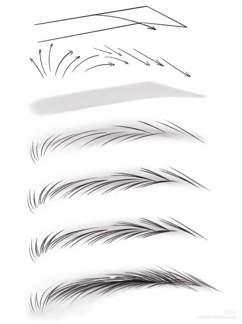 Eye Type Shape, Basic Eye Drawing, Eyebrow Drawing Tutorial, Decorations For Notebooks, Eyebrow Drawing, Pencil Drawings For Beginners, Eye Drawing Tutorials, How To Draw Eyebrows, Digital Painting Techniques