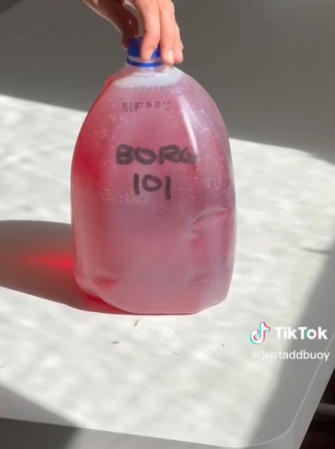 What Is A BORG? Gen Z’s Go-To Drink Is Going Viral Borg Drink Recipe, Funny Borg Ideas, Borg Recipe Alcohol, Borg Recipe, Borg Party, Borg Drink, Borg Names, Borg Ideas, College Drinks