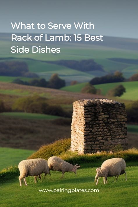 🤩 Elevate your dinner game with these perfect pairings for rack of lamb! 🍷🍴 #rackoflamb #dinnerideas #foodpairings Rack Of Lamb Dinner, Crusted Rack Of Lamb, Lamb Dinner, Dinner Games, Delicious Side Dishes, Lamb Dishes, Mint Sauce, Rack Of Lamb, Balsamic Reduction