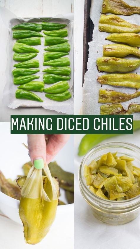 Canning Diced Green Chilis, Canned Diced Green Chilis, Diced Green Chiles Canning, Canning Green Chilis, Diced Green Chiles Recipes, Ground Beef Breakfast, Green Chile Recipes, Yummy Vegetable Recipes, Canned Green Chilies