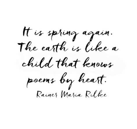 Spring Poem, Michael Faudet, Calendar Quotes, Season Quotes, Spring Quotes, Beginning Of Spring, Garden Quotes, Song Of Solomon, Spring Fever