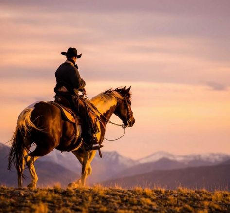 Cowboy Up Cowboy Horse Photography, Cowboy Asethic, Man On A Horse, Aesthetic Cowboy, Cowboy On Horse, West Aesthetic, Mode Country, Cowboy Photography, Cowboy Pictures