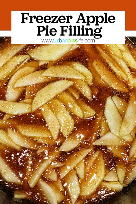 Freezing Apple Crisp Filling, Freezer Apple Crisp Filling, Apples For Freezing, Freezer Apple Pie Recipes, Can You Freeze Apple Pie Filling, Freeze Apple Pie Filling Recipes, Healthy Apple Pie Filling Freezer, Different Ways To Freeze Apples, Can You Freeze Apples For Pie