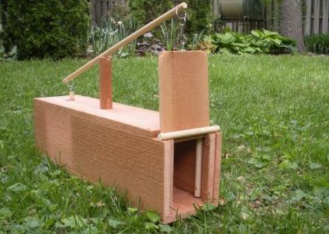 DIY Box Rabbit Trap - catch those rabbits that are destroying your garden... #diy #homesteading Rabbit Traps, Animal Traps, Cat Houses, Survival Stuff, Rabbit Care, Hayley Atwell, By Any Means Necessary, Outdoor Stuff, Homestead Survival