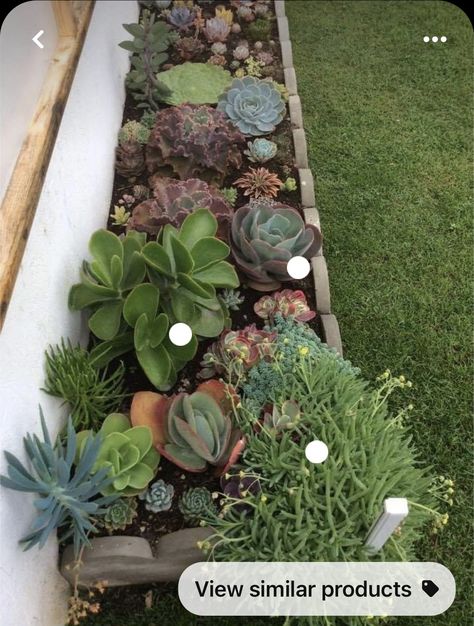 Succulent Backyard, Modern Backyard Garden, Succulent Garden Outdoor, Pool Garage, Succulent Rock Garden, Cabinets Bedroom, Succulent Garden Landscape, Tattoo Garden, Front Flower Beds