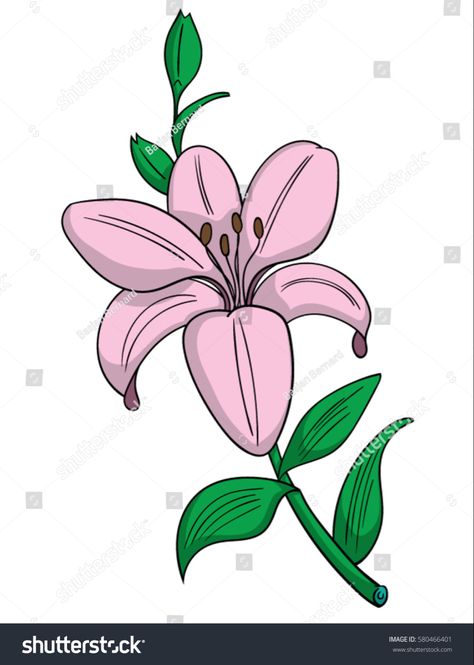 Orange Lily Flower, Pink Lily Flower, Flower Cartoon, Cartoon Flower, Lily Bulbs, Fabric Paint Designs, Soft Heart, Free Cartoons, Pink Lily