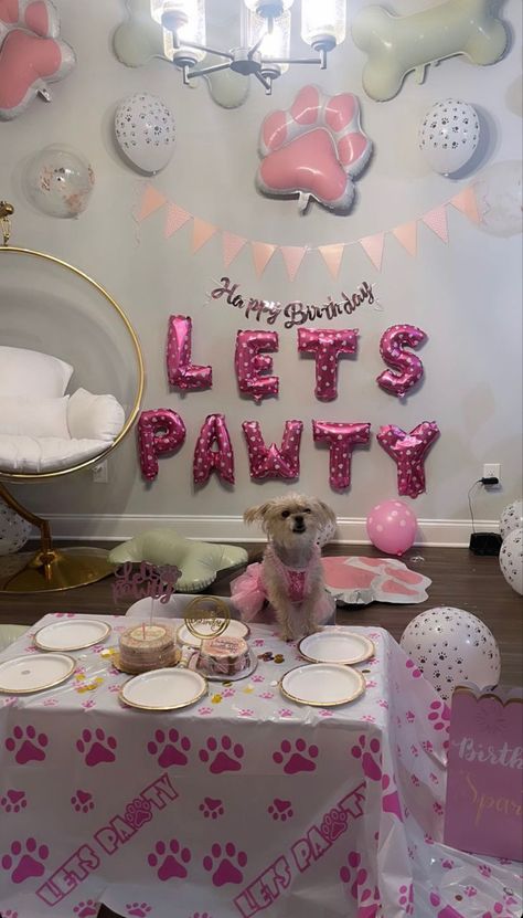 Dogs 1st Birthday Ideas Puppy Party, Dog Birthday Party For Dogs, Doggy Birthday Party Ideas Decoration, Puppy Birthday Ideas For Dogs, Dog Birthday Party Aesthetic, Dog Parties, Birthday For Dog, Aesthetic Dog Birthday Party, Puppy Birthday Aesthetic