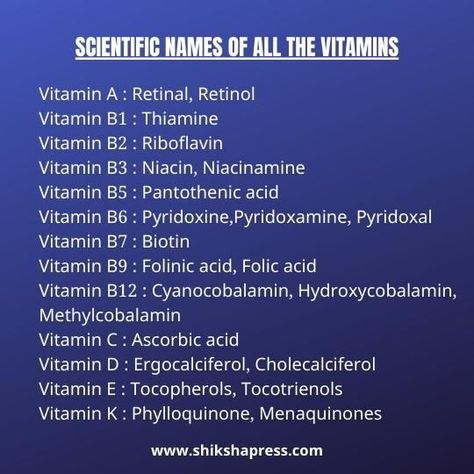 Scientific Names of all the Vitamins Vitamin Chemical Name, Vitamin Name Chart, Chemical Names Of Vitamins, Vitamin Notes, Smokable Herbs, Types Of Vitamins, Animal Biology, Medical Terminology Study, Hollistic Health