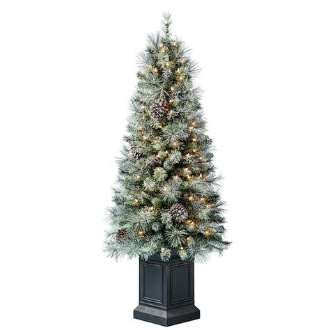 4.5ft. Pre-Lit Baywood Artificial Christmas Tree, Clear Lights by Ashland® Potted Christmas Tree, Christmas Tree Clear Lights, Potted Christmas Trees, Artificial Christmas Trees, Unique Christmas Trees, Plastic Pots, Tree Lighting, Artificial Christmas Tree, Holiday Gathering