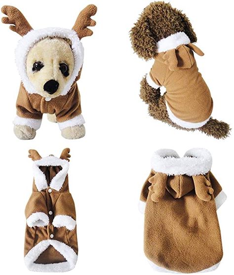 Christmas Reindeer Costume, Cat Outfits Pets, Reindeer Pet, Pet Clothes Patterns, Dog Christmas Clothes, Christmas Pet Clothes, Small Dog Costumes, Reindeer Costume, Reindeer Dog