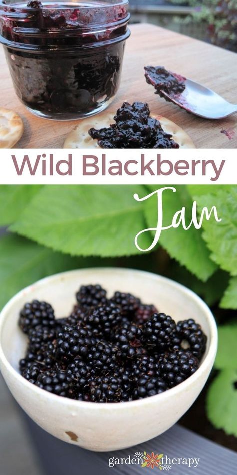 Healthy Blackberry Jam, Spicy Blackberry Jam, Low Sugar Blackberry Jam For Canning, Wild Blackberry Jam, Fresh Blackberries Recipes, Wild Blackberry Recipes, Blackberry Jam Recipe Easy, Fresh Blackberry Recipes, Sugar Free Blackberry Jam