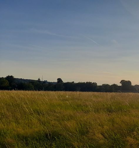 Open Field Aesthetic, Germany Aesthetic, Backgrounds Ideas, Birds Chirping, European Village, Video Project, Video Shoot, Open Field, Better Days