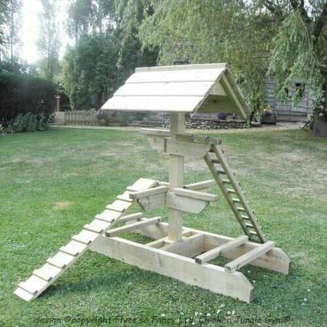 Perfect Roosting Hangout Chicken Jungle Gym, Chicken Perch, Chicken Perches, Urban Chicken Farming, Portable Chicken Coop, Chicken Toys, Urban Chickens, Raising Backyard Chickens, Coop Plans