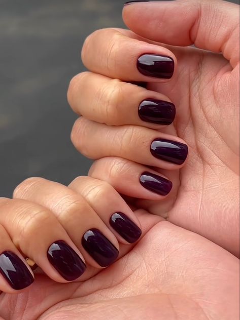 Dark Short Square Nails, Short Square Dark Nails, Nail Color Trends Fall 2024, Square Dark Nails, Dark Square Nails, Dark Purple Gel Nails Short, Dark Purple Nails Opi, Pretty Nail Colors, Her Nails