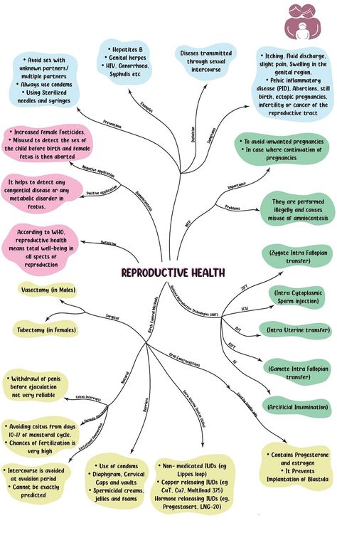 Reproductive Health Notes, Neet Study Motivation, Neet Study, Biology Class 12, Human Reproduction, Neet Notes, Learn Biology, Notes Study, Study Chemistry