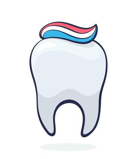 Vector illustration. Clean healthy human tooth with toothpaste. Symbol of somatology and oral hygiene. Graphic design with contour. Contour Design, Human Teeth, Oral Hygiene, Toothpaste, Vector Free, Vector Illustration, Graphic Design, Human, Design