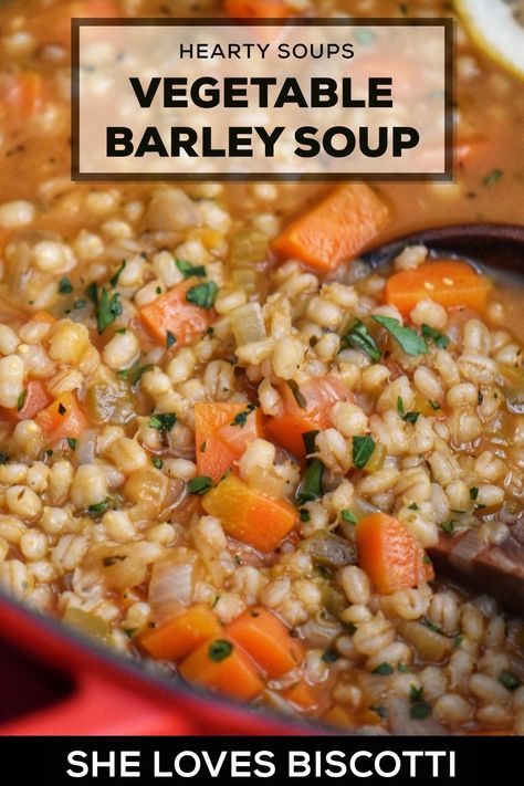 Healthy Vegetable Barley Soup Recipe Plant Based Barley Recipe, Italian Barley Soup, Barley Soup Vegetarian, Lentil And Barley Soup, Turkey Barley Soup Recipe, Vegetable Barley Soup Recipes, Recipe With Barley, Vegan Veggie Soup, Bean And Barley Soup Recipe