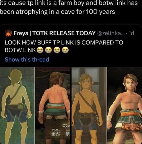 Botw Link, Legend Of Zelda Memes, Zelda Funny, Hotel Trivago, Monster Hotel, Link Zelda, Zelda Art, Legend Of Zelda Breath, Zelda Breath