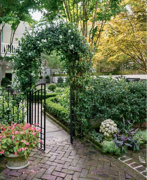 Welcome To Charleston| Charleston Magazine | Charleston, SC Colonial Landscaping, Small Courtyard Ideas, Savannah Gardens, Garden Front Of House, Charleston Gardens, Lotus Garden, Single House, Small Courtyard, Courtyard Ideas