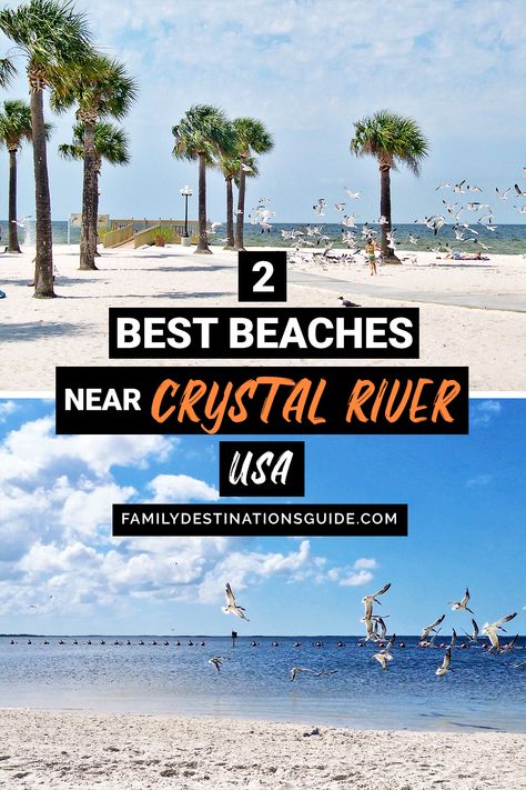 Want to see the top beaches close to Crystal River? Want ideas for a Crystal River beach vacation that’s fun and safe? We’re FamilyDestinationsGuide, and we’re here to help: Discover the best beaches NEAR Crystal River, FL - so you get memories that last a lifetime! #crystalriver #crystalriverbeachvacation #crystalriverbeaches #nearcrystalriver #crystalrivervacation Crystal River Florida Things To Do, Crystal River Florida, River Kayaking, Fl Beaches, Florida Adventures, Sanibel Island Florida, Vacation Florida, Florida Trip, Crystal River