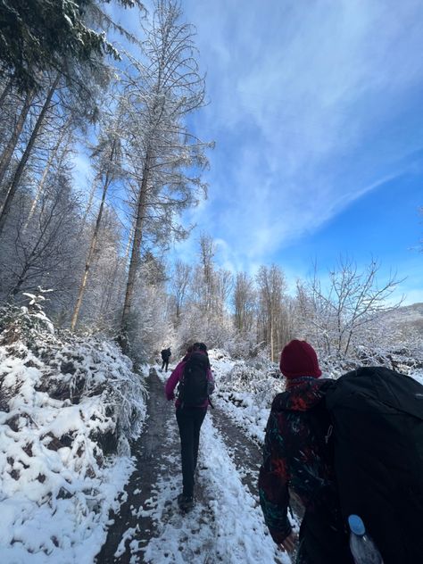 Hike Aesthetic Winter, Hiking Aesthetic Winter, Winter Hiking Aesthetic, Big Bear Trip, Oregon Spring, Hike Aesthetic, Winter Wishlist, Mountain Trip, Winter Hike