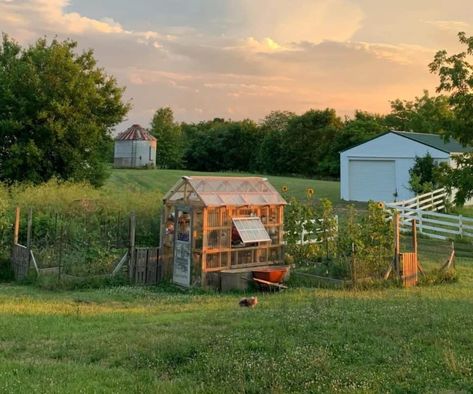 simple frugal greenhouse made with recycled materials in the midst of a homestead Build Your Own Greenhouse, Acre Homestead, Homesteading Ideas, Backyard Greenhouse, Green House, Small Backyard Landscaping, Small Backyard, Garden Projects, Build Your Own