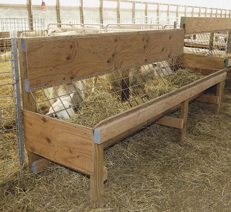 Single sided feeders are light enough that sheep can slide them. Hence the steel T post at one end. Cow Feeder, Sheep Feeders, Goat Hay Feeder, Goat Feeder, Sheep House, Sheep Pen, Goat Toys, Goat Pen, Mini Goats