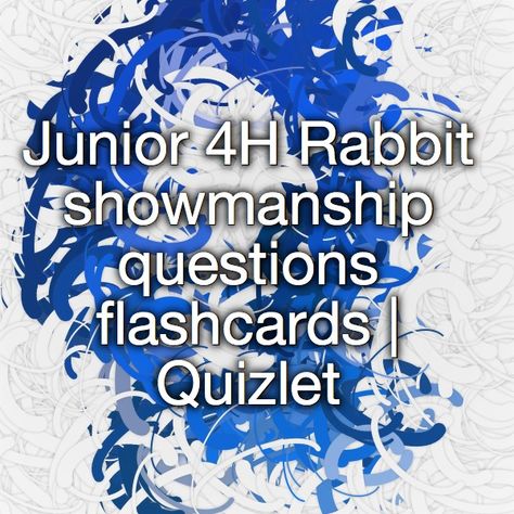 4h Rabbit Showing, 4h Decorations, 4 H Project Ideas, 4h Fair, Show Rabbits, 4 H Club, Lionhead Rabbit, Little Bunny Foo Foo, Meat Rabbits