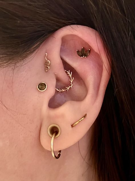 Upper Forward Helix Piercing, Ear Curation Daith, Titanium Ear Curation, Decorated Ears Piercings, Piercings With Names, Small Gauges Aesthetic, Ear Piercing Ideas Small Ears, Gold Labret Piercing, Gauged Ears Aesthetic