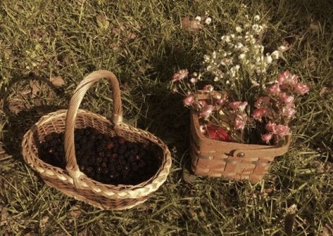 Berry Picking, Cottagecore Aesthetic, + Core + Aesthetic, Anne Of Green Gables, Green Gables, The Grass, Favorite Pins, Cottage Core, Secret Garden