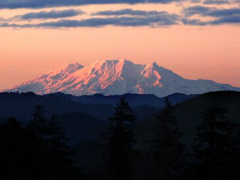 Seismic activity has increased at Mt Ruapehu after the lake in the volcano's crater peaked in temperature. - New Zealand Herald Jacks Tattoo, Mt Ruapehu, 2024 Tattoo, Jack Tattoo, Vision 2024, Music Tattoos, Tattoo Idea, Art Logo, Volcano